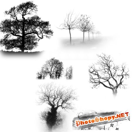 Кисть для фотошопа - Trees