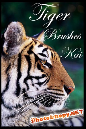 Кисть для photoshop - Тигры