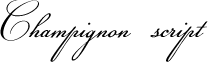 Шрифты - Champignon script