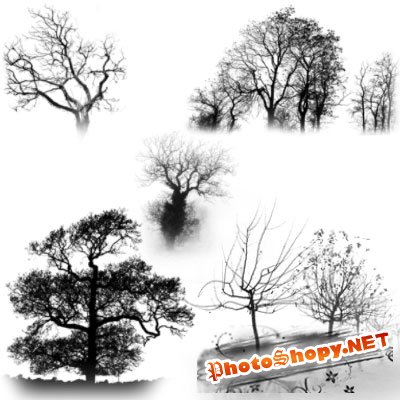 Кисти для фотошопа - Деревья