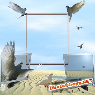 Рамка для фото - Компьютеры и голуби
