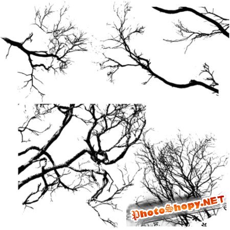 Кисть для фотошопа -Деревья