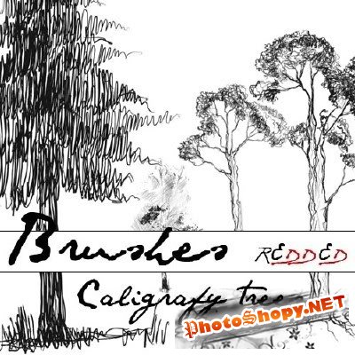 Caligrafy trees - creative PS brushes