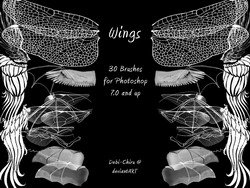 Wings Brushes 2