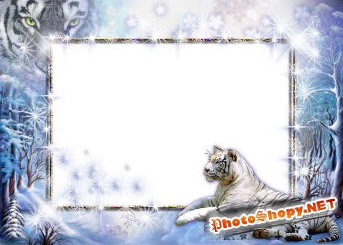 Рамка для фотошоп – Зимняя с тигром-2