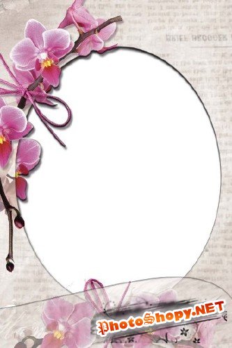 Рамка для фотошоп – Гламурные орхидеи