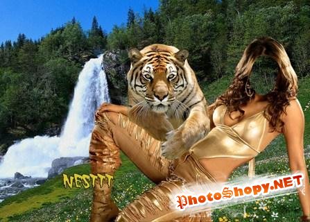 Шаблон для Photoshop - C тигром у водопада