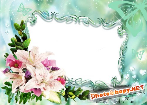 Рамка для фотошоп – Лилии и бабочки