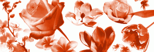 Кисти для фотошоп - Yana stock floral
