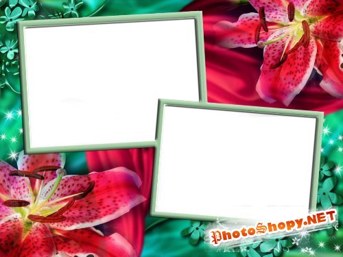Рамка для фотошоп – Два фото с лилиями