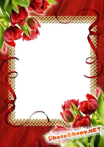 Рамка для фотошоп – Тюльпаны любимые