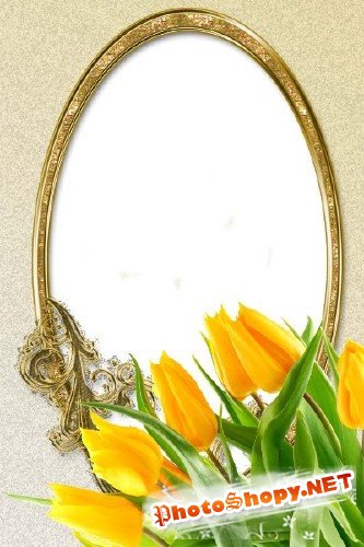 Рамка для фотошоп – Желтые тюльпаны