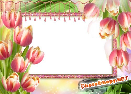 Рамка для фотошоп – Букет из тюльпанов