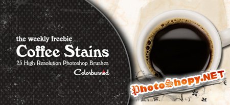 Coffee Stains HQ Photoshop Brushes
