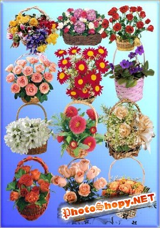 Клипарт - Корзинки с цветами
