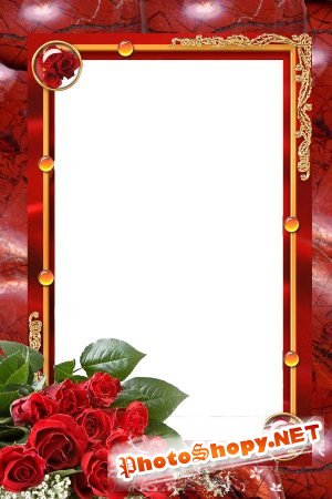 Рамка для фотошоп – Бордо и розы