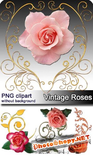 Винтажные розы | Vintage roses (10 PNG clipart)