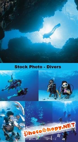 Stock Photo - Divers