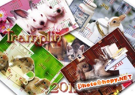 10 PSD Календарей c Кроликами на 2011 год