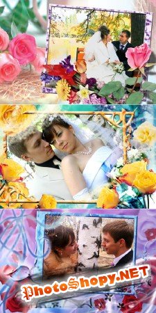 Weddings PSD Frames Cillage For Adobe Photoshop Vol.7