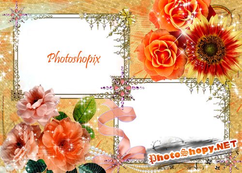 Рамка для Photoshop на два фото – Оранжевые розы