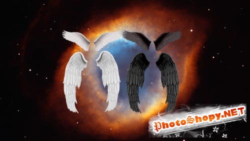 Ангельские крылья в двух расцветках PSD