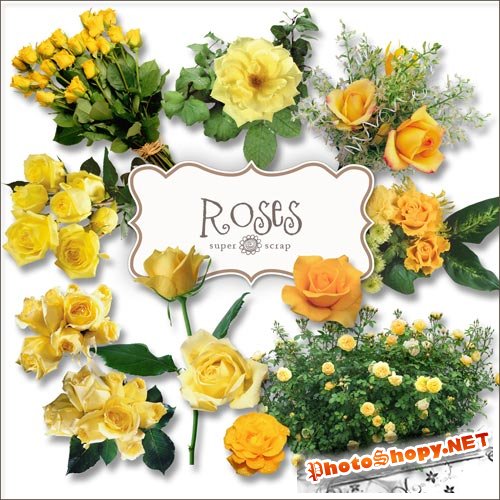 Скрап-набор - Желтые Розы