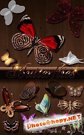Большая коллекция бабочек (более 400 шт.)