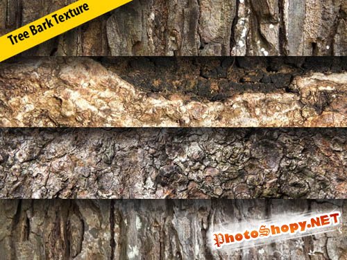 Tree bark texture pack