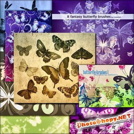 Бабочки и моли