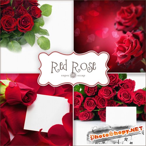 Textures - Red Roses Backgrounds