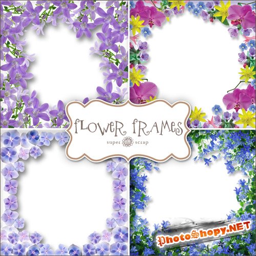 Scrap-kit - Flower Frames #3