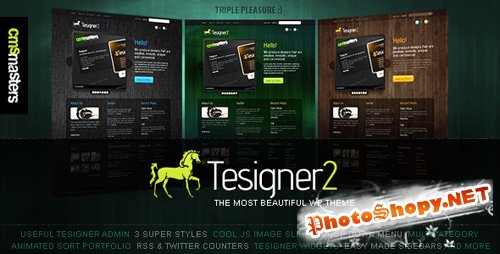 Tesigner - Creative Portfolio WordPress