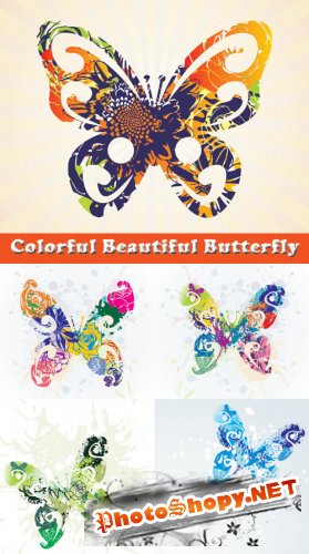 Colorful Beautiful Butterfly - Stock Vectors