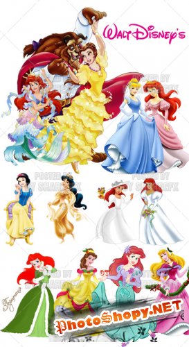 Walt Disney Princesses