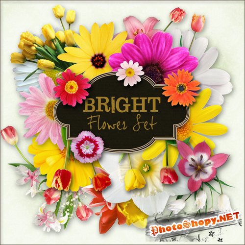 Scrap-kit - Bright Flower Set