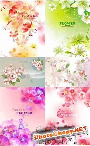 Vector Flower compositions