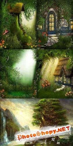 Forest clearings and houses - backgrounds