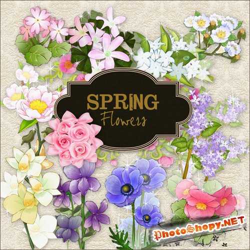 Scrap-kit - Spring Flowers