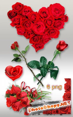 Клипарт PNG - Красные розы к 8 Марта