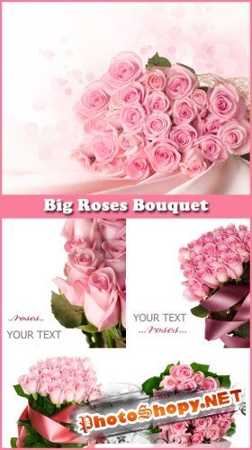 Big Roses Bouquet - Stock Photos
