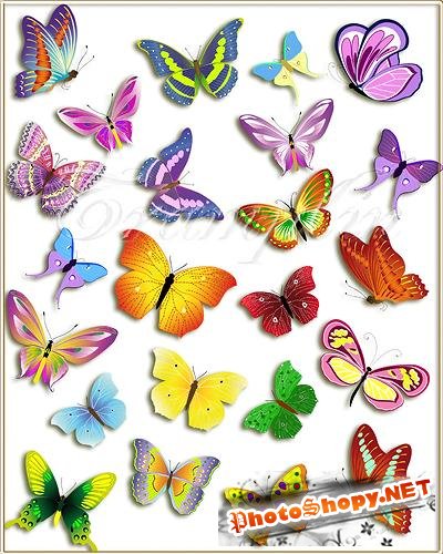 Клипарт – Разноцветные Бабочки