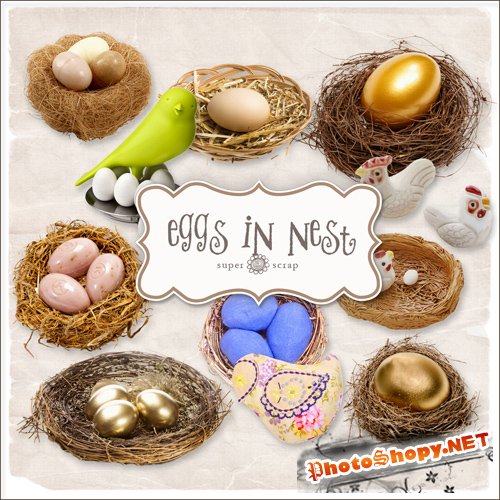 Scrap-kit - Eggs In Nest