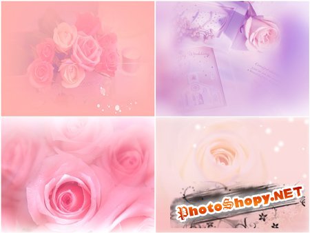 Красивые PSD фоны для фотошопа с розами