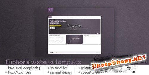 ActiveDen - Euphoria Website Template (Incl FLA) - Rip
