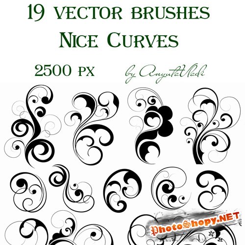 vector brushes Nice Curves