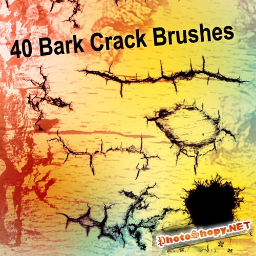 40 Bark Crack Brushes