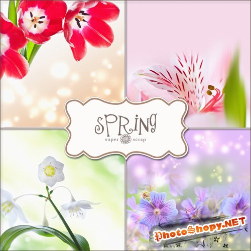 Textures - Spring Backgrounds #16