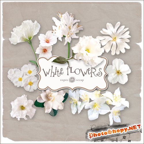 Scrap-kit - White Flowers Set