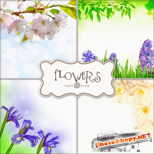 Textures - Flowers Backgrounds #26
